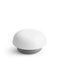 Carter Move Lid