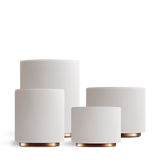 Monty Milk Art Cups
